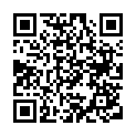 C&oacute;digo QR con el enlace al titular Nevando en el bajo CurueÃ±o