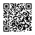 C&oacute;digo QR con el enlace al titular Zafarronada carnavalera en Riello