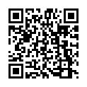 C&oacute;digo QR con el enlace al titular Early Theme Adopters: Syntax