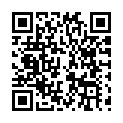 C&oacute;digo QR con el enlace al titular La Ciudad sin energÃ­a