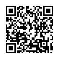 C&oacute;digo QR con el enlace al titular &lsquo;Media&rsquo; de altos vuelos