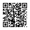 C&oacute;digo QR con el enlace al titular Michael Schmidt