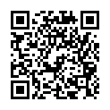 C&oacute;digo QR con el enlace al titular The Customizer, Revisited: Mobile Previews and More