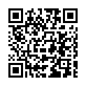 C&oacute;digo QR con el enlace al titular El vuelo a LeÃ³n del Principito