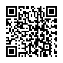 C&oacute;digo QR con el enlace al titular El Ãºltimo paseo