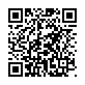 C&oacute;digo QR con el enlace al titular Registro policial