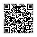C&oacute;digo QR con el enlace al titular Early Theme Adopters: Sorbet