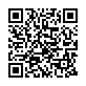 C&oacute;digo QR con el enlace al titular Las calles de mi paÃ­s