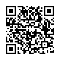 C&oacute;digo QR con el enlace al titular Los 101&hellip; mil peregrinos en marcha