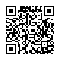 C&oacute;digo QR con el enlace al titular La Guardia Civil detiene  a un joven como presunto autor del robo de cable de cobre en La BaÃ±eza