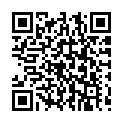C&oacute;digo QR con el enlace al titular Hamilton sin fin