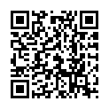 C&oacute;digo QR con el enlace al titular Los partidos en campaÃ±a
