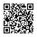 C&oacute;digo QR con el enlace al titular New Themes: Sidespied and Chronicle