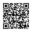 C&oacute;digo QR con el enlace al titular Haberlo, haylo