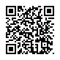 C&oacute;digo QR con el enlace al titular Fiestas de Villazala 2014