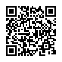 C&oacute;digo QR con el enlace al titular El partido de la salvaciÃ³n