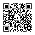 C&oacute;digo QR con el enlace al titular El cruce de La Codorniz