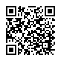 C&oacute;digo QR con el enlace al titular Ãlbum de Toral en tren 2014