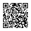C&oacute;digo QR con el enlace al titular RomerÃ­a de la Virgen del Villar 2014