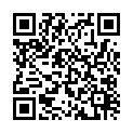 C&oacute;digo QR con el enlace al titular NUNCA VIAJO SOLO