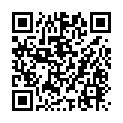 C&oacute;digo QR con el enlace al titular BorragÃ¡n sigue en la lista