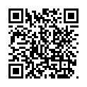C&oacute;digo QR con el enlace al titular Recambios