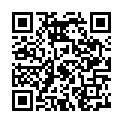 C&oacute;digo QR con el enlace al titular Early Theme Adopters: Bushwick