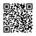 C&oacute;digo QR con el enlace al titular Fiesta de La Peregrina