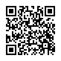 C&oacute;digo QR con el enlace al titular Todo listo para el &lsquo;Fiestizaje&rsquo;