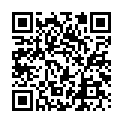 C&oacute;digo QR con el enlace al titular La muralla de la discordia