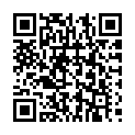 C&oacute;digo QR con el enlace al titular Puente Castro B