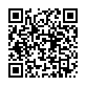 Código QR con el enlace al titular Fiestas en San Miguel del Camino