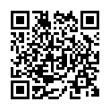 Código QR con el enlace al titular Â«Todo va segÃºn lo previstoÂ»