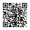 Código QR con el enlace al titular Fiestas de Santa Maria del PÃ¡ramo