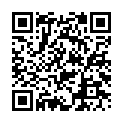 Código QR con el enlace al titular Un rally a escala 1:32