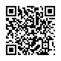 Código QR con el enlace al titular Fiesta en BoÃ±ar 2014