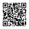 Código QR con el enlace al titular Nuevas zonas para caravanas