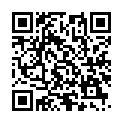 Código QR con el enlace al titular Â¡Peregrino! Â¡Coge el autobÃºs!
