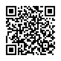 Código QR con el enlace al titular PUNTERO DE GAITA CON LLAVES.