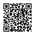Código QR con el enlace al titular PROYECTO LEÃ“N