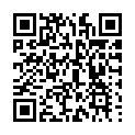 Código QR con el enlace al titular Casillas: 