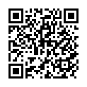 Código QR con el enlace al titular El carril de los espaÃ±oles