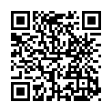 Código QR con el enlace al titular Pajariel falla en casa