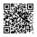 C&oacute;digo QR con el enlace al titular Relevos de alto voltaje en Francia