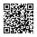 C&oacute;digo QR con el enlace al titular PÃºnica: GÃ¼rtel II