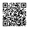 C&oacute;digo QR con el enlace al titular La trama â€˜PÃºnicaâ€™ y el papel de Cofely en los autos de Velasco