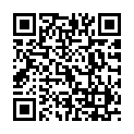 C&oacute;digo QR con el enlace al titular Rusia apoya a las autoridades elegidas en el este de Ucrania