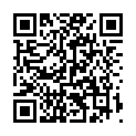 C&oacute;digo QR con el enlace al titular El CurueÃ±o en China