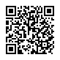 C&oacute;digo QR con el enlace al titular El autocar de Murcia sufriÃ³ otro accidente en 2010 con 15 heridos leves