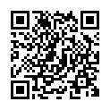 C&oacute;digo QR con el enlace al titular Yuri, el 19Âº pasajero
